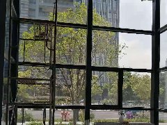 溫州甌海區人民政府大廳12Mil防爆膜